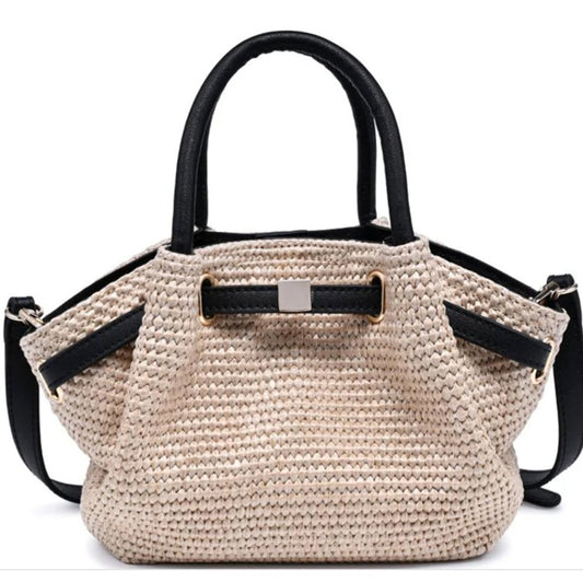 Lana Straw Woven Purse